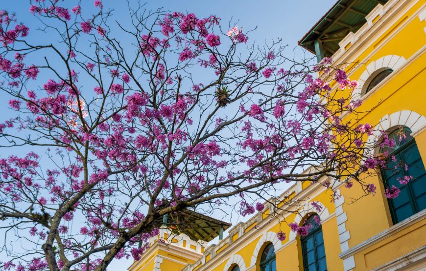 Florianópolis Histórico e Praias – (Privativo até 3 passageiros) Saindo dos hotéis de Penha