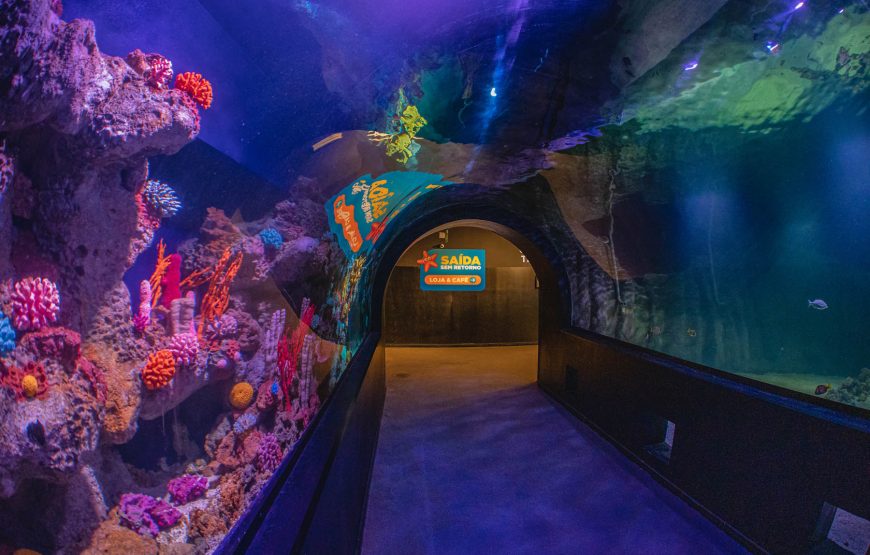 17º Congresso Clínica Médica: Ingresso Oceanic Aquarium