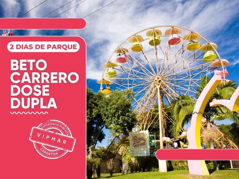 Transporte ida e volta para 2 dias de Beto Carrero World – Saindo dos hotéis de Balneário Camboriú