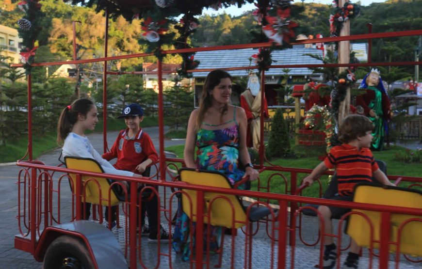 Blumenau no período do Natal: Privativo (para até 3 pessoas) saindo de Balneário Camboriú