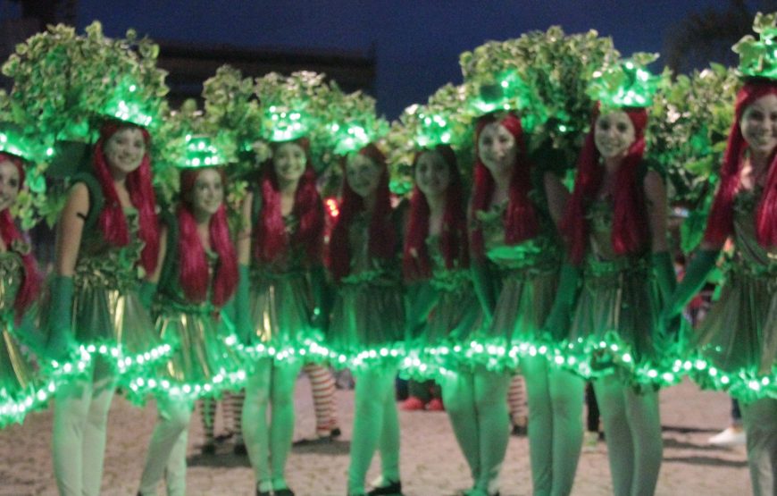 Blumenau no período do Natal: Privativo (para até 3 pessoas) saindo de Balneário Camboriú