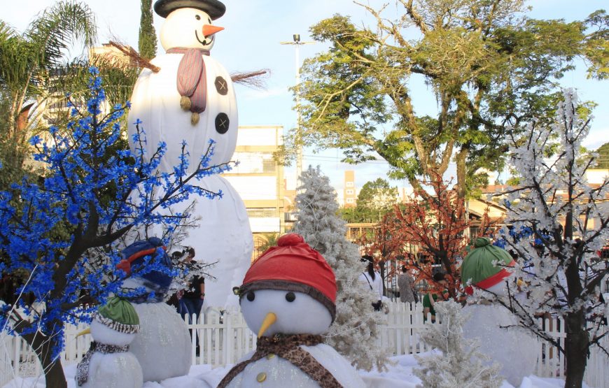 Blumenau no período do Natal: Privativo (para até 3 pessoas) saindo de Balneário Camboriú
