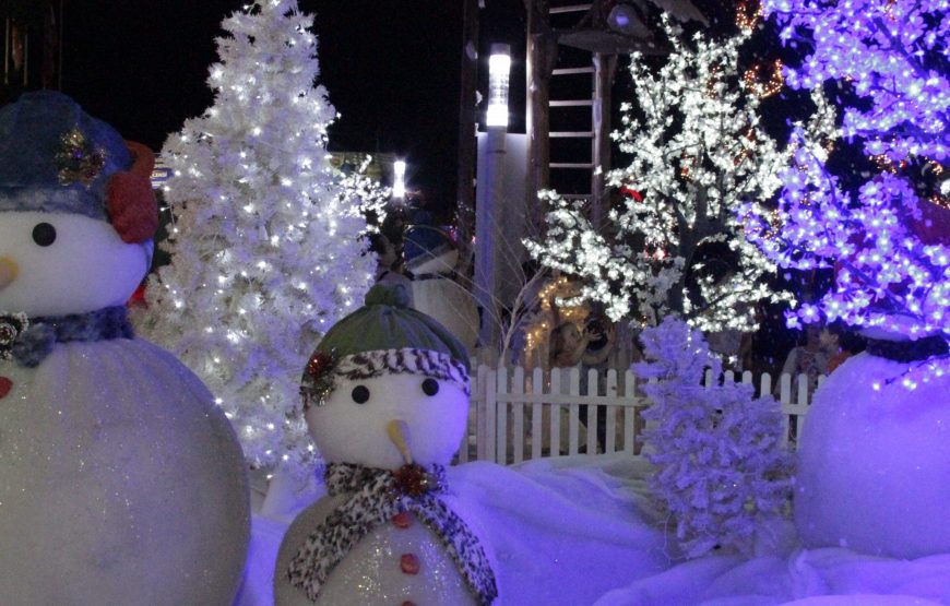 Blumenau no período do Natal: Privativo (para até 3 pessoas) saindo de Balneário Camboriú