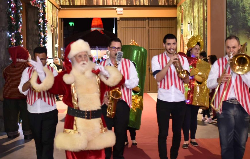 Blumenau no período do Natal: Privativo (para até 3 pessoas) saindo de Balneário Camboriú